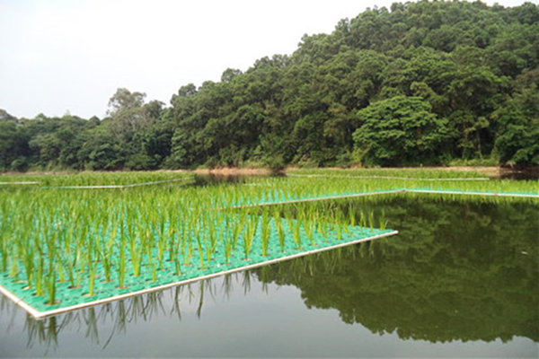 人工生态浮岛